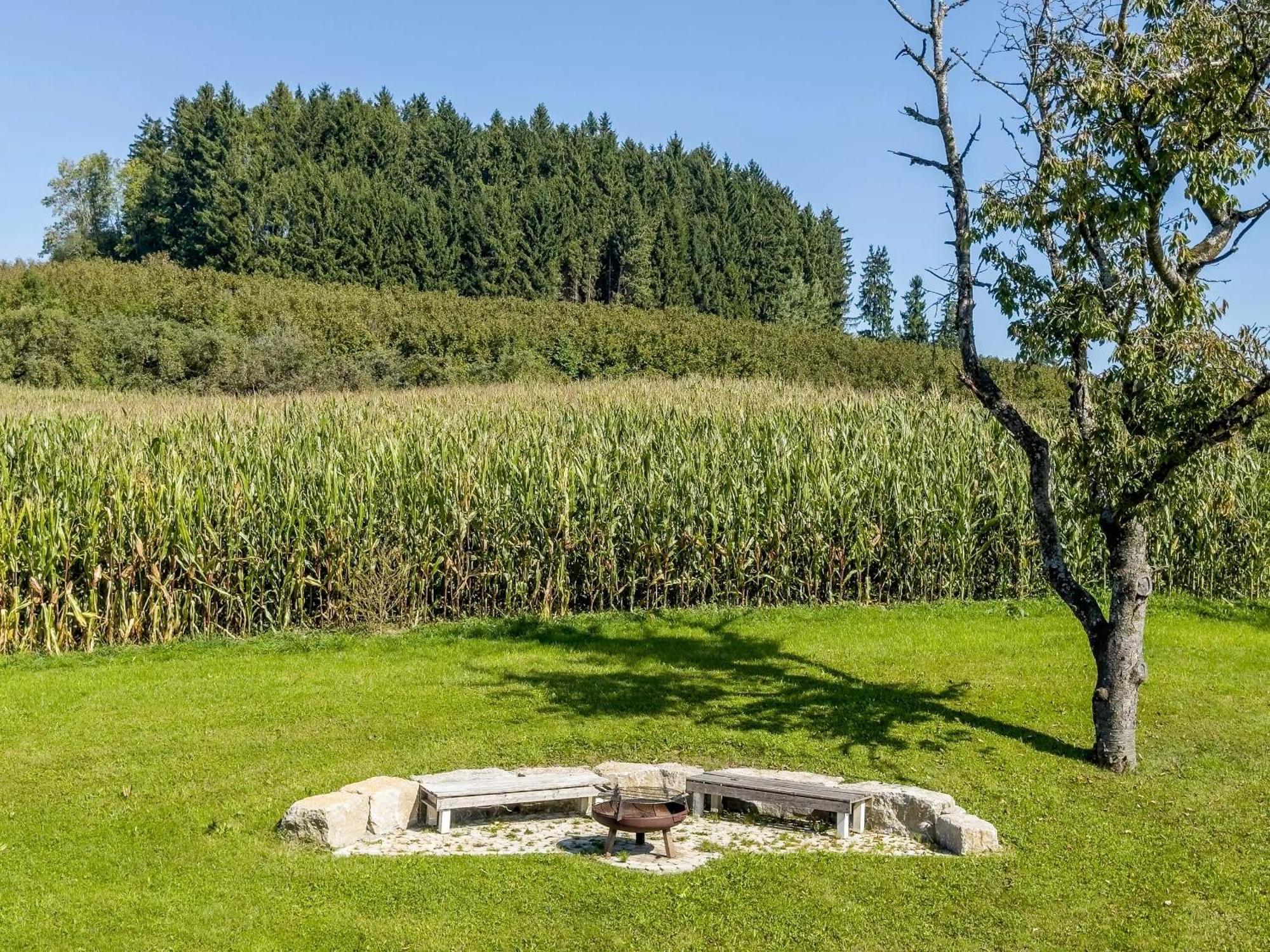 Ferienwohnung Buchmann Deggenhausertal Exteriör bild